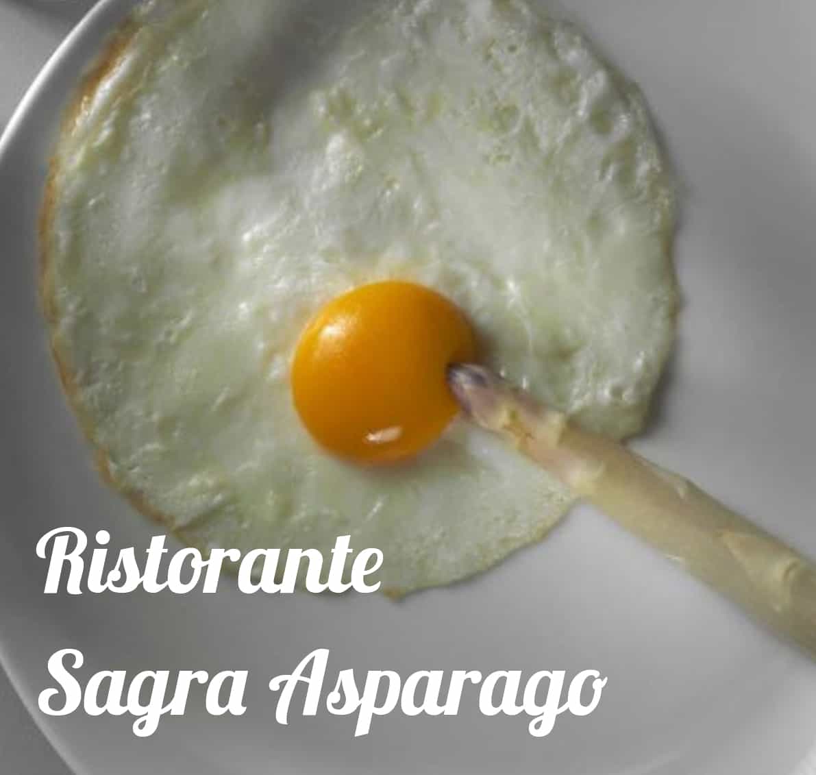 Ristorante Sagra dell'Asparago