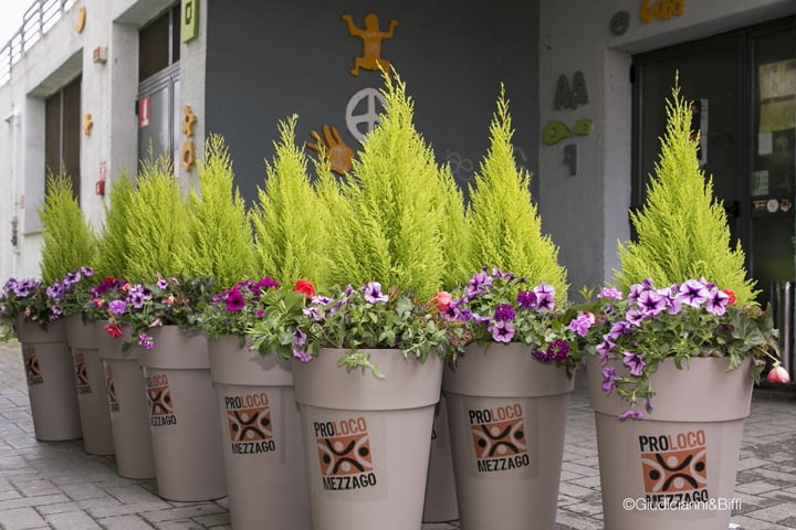 Mezzago è un giardino ben curato