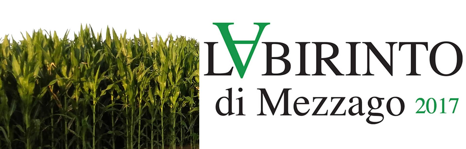 Labirinto di Mezzago 2017