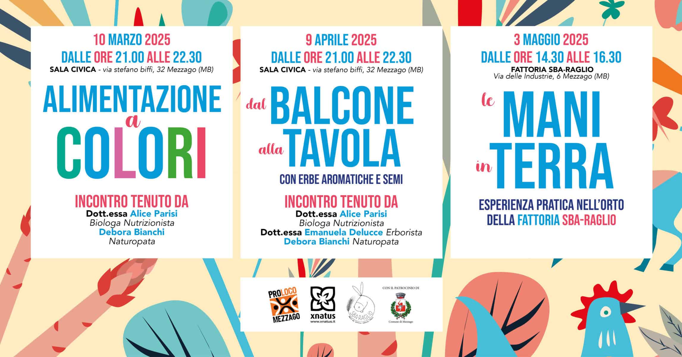 alimentazione a colori, dal balcone alla tavola, le mani in terra