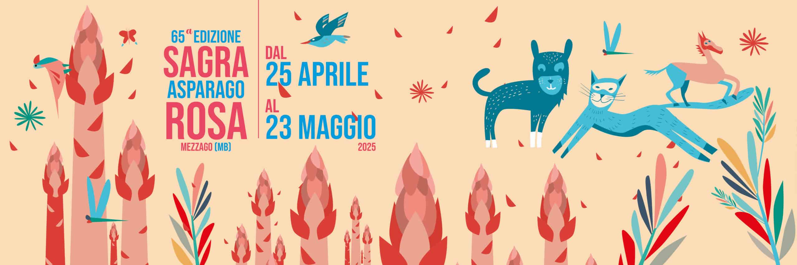 banner sagra asparago 2025
